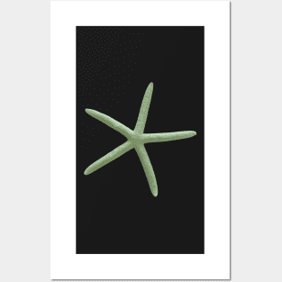 Starfish, Seafoam Green Posters and Art